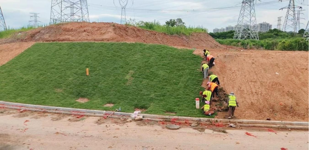 1754036136139329.png 08a591fb960de75c79b8bce256d134fb_640_wx_fmt=png&from=appmsg&randomid=027n71lw&tp=webp&wxfrom=5&wx_lazy=1.png